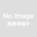 アウトレット（クラスＢ）　双眼鏡　ヒノデ ８ｘ４２－Ｄ1A(青)